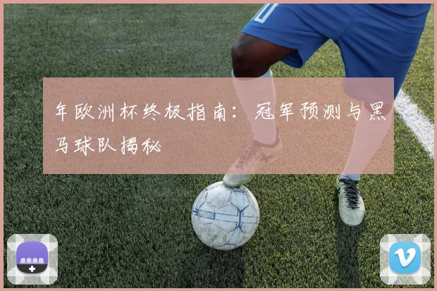 年欧洲杯终极指南：冠军预测与黑马球队揭秘