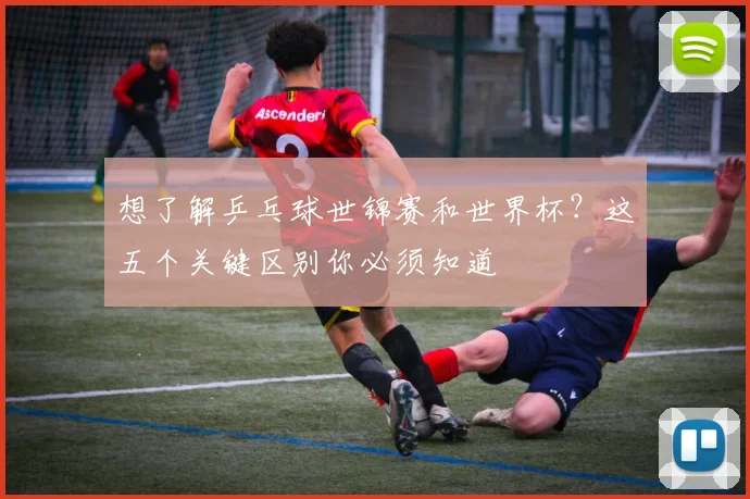想了解乒乓球世锦赛和世界杯?这五个关键区别你必须知道