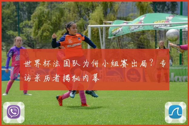 世界杯法国队为何小组赛出局?专访亲历者揭秘内幕