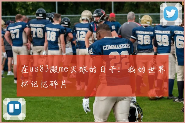 在as83殿me买球的日子：我的世界杯记忆碎片