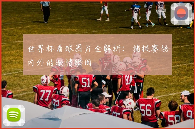世界杯看球图片全解析:捕捉赛场内外的激情瞬间