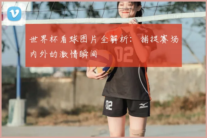 世界杯看球图片全解析：捕捉赛场内外的激情瞬间