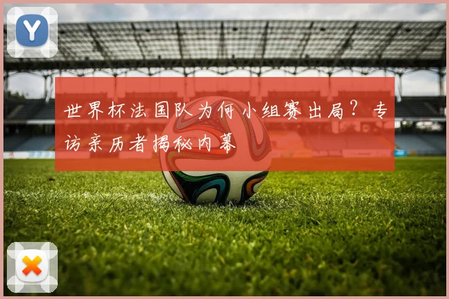 世界杯法国队为何小组赛出局?专访亲历者揭秘内幕