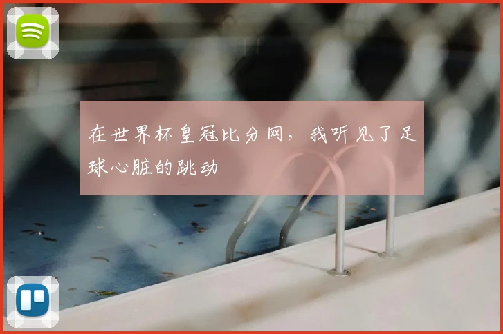 在世界杯皇冠比分网，我听见了足球心脏的跳动