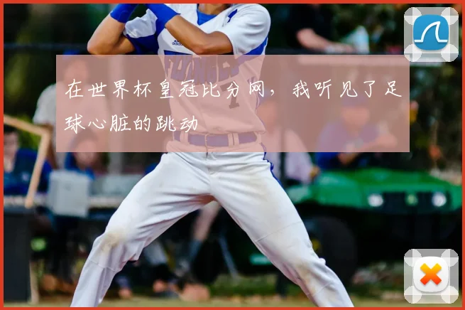 在世界杯皇冠比分网，我听见了足球心脏的跳动