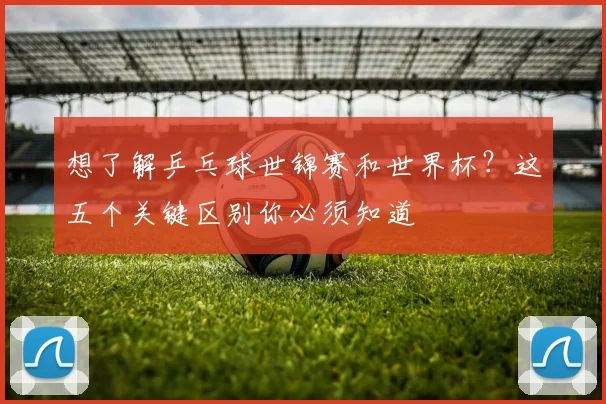 想了解乒乓球世锦赛和世界杯?这五个关键区别你必须知道