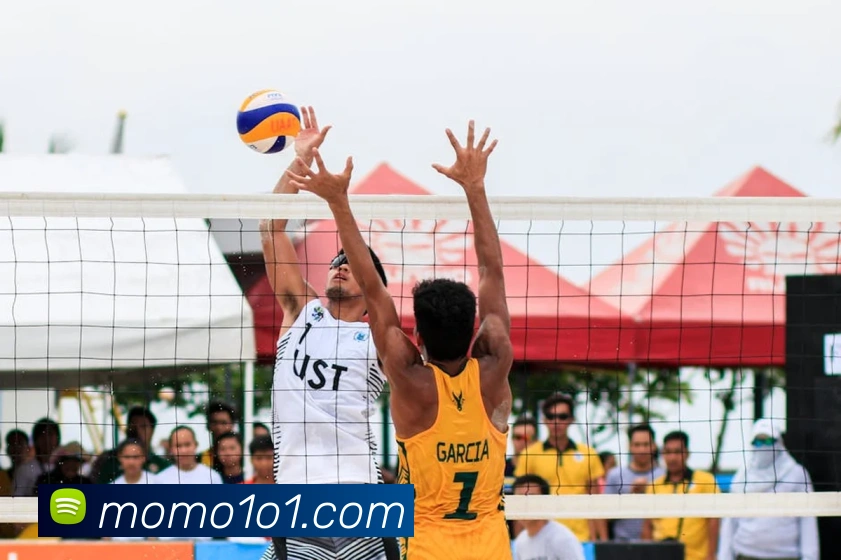 App Interface Preview