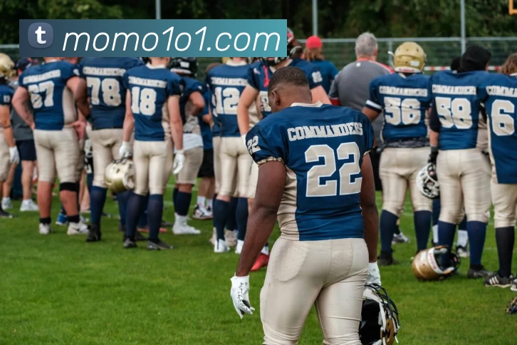 欧宝官网手机版APP 封面图